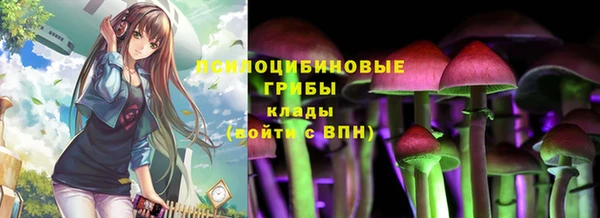 индика Алзамай