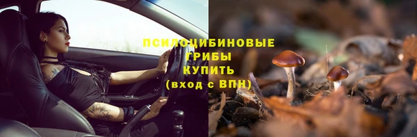 индика Алзамай