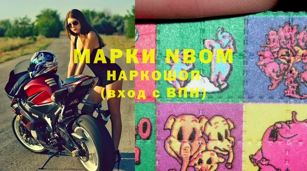 индика Алзамай