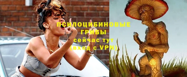 индика Алзамай