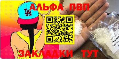 эйфоретик Кингисепп
