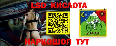 эйфоретик Кингисепп