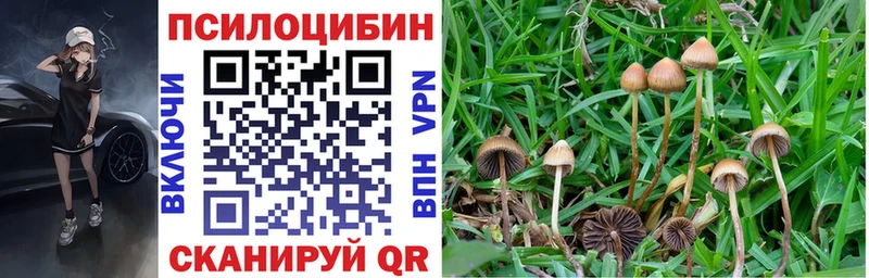 Галлюциногенные грибы мухоморы  Ленинск-Кузнецкий 