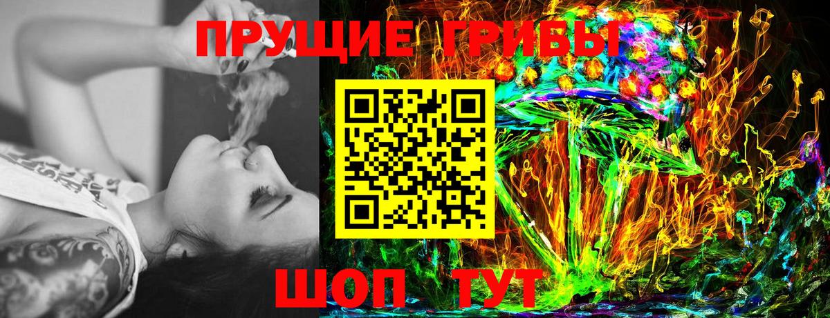 Ленинск-Кузнецкий  Галлюциногенные грибы Cubensis  Вход с VPN 