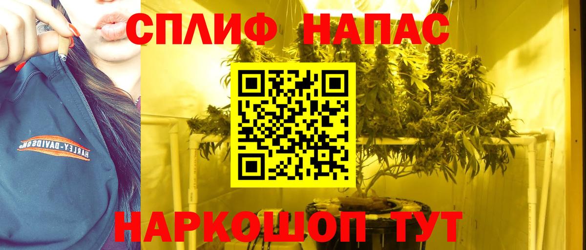 Каннабис Ganja Ленинск-Кузнецкий